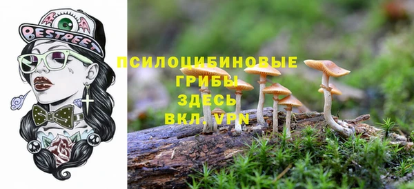винт Арсеньев