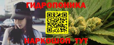 скорость Новодвинск