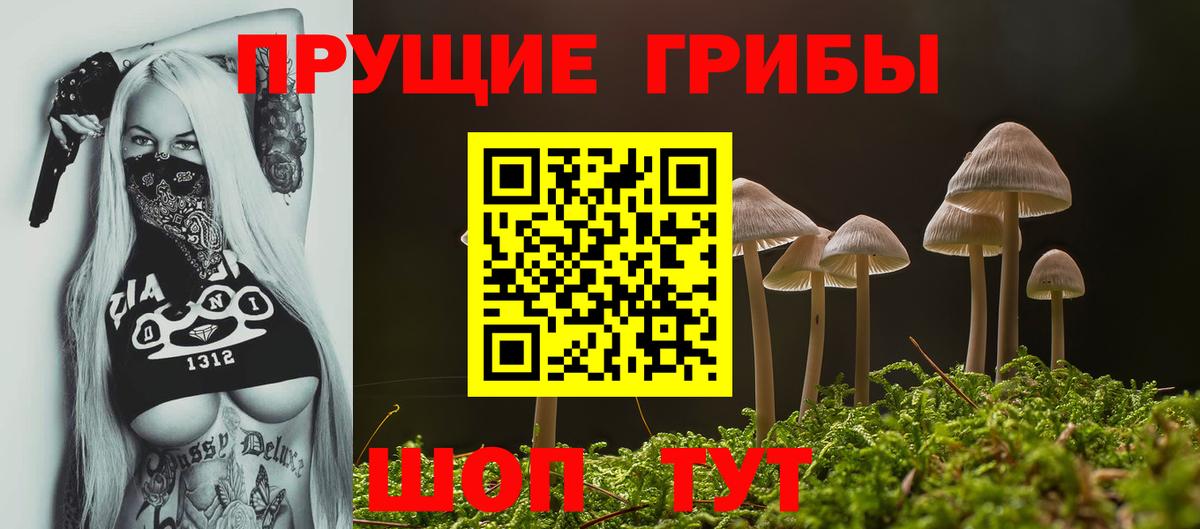 Псилоцибиновые грибы MAGIC MUSHROOMS Дюртюли