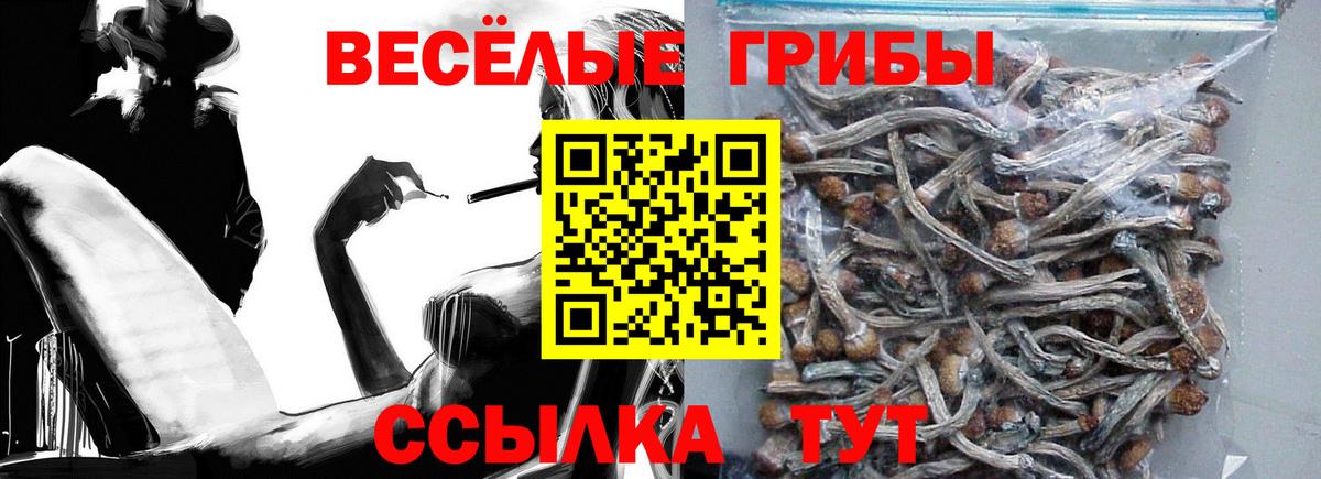 Дюртюли  Галлюциногенные грибы мицелий  Вход с VPN 